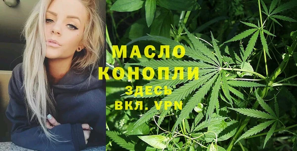 стафф Касимов