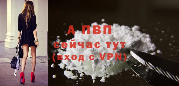 стафф Касимов
