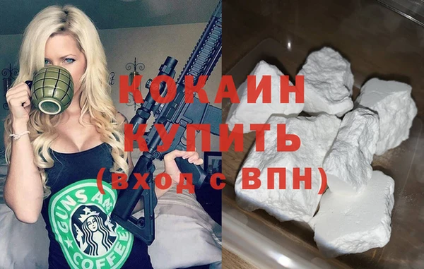 стафф Касимов