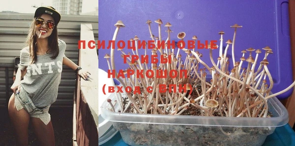 стафф Касимов