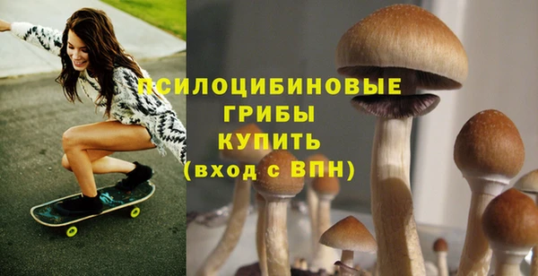 стафф Касимов