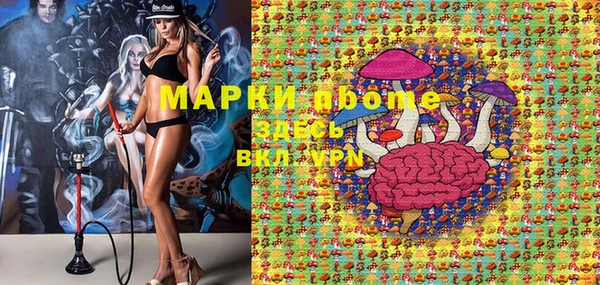 ПСИЛОЦИБИНОВЫЕ ГРИБЫ Карпинск